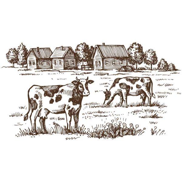 Rezopt FREE GRAPHIC RESOURCES Vector Cows Grazing on Meadow